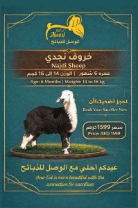 خروف نجدي